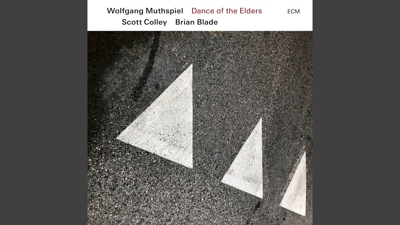 Wolfgang Muthspiel · Scott Colley · Brian Blade - Dance of the Elders
