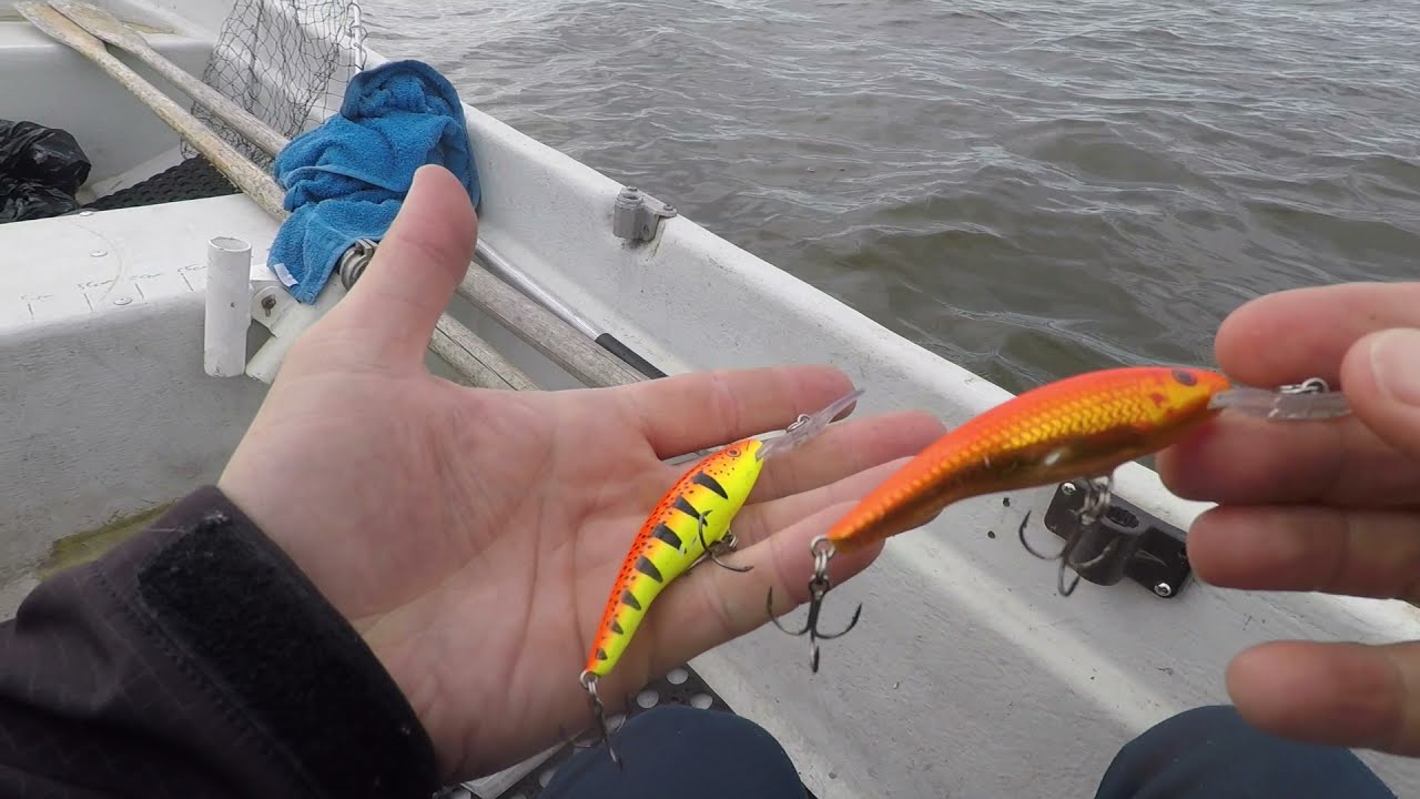 burtnieka ezers (velcēšanas ABC)  20 07 2021