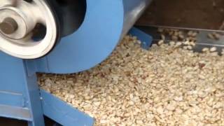 Peanuts Peeling machine 2 Piece MPG