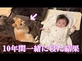 【モニタリング】10年間一緒の布団で寝てきた結果こうなりました…