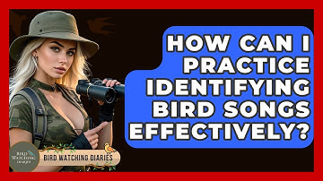 How Can I Practice Identifying Bird Songs Effectively? - Bird Watching Diaries