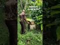 I wasn't wearing my protective gear because the hives are not colonized yet. @ Mezmirite &amp; RSU