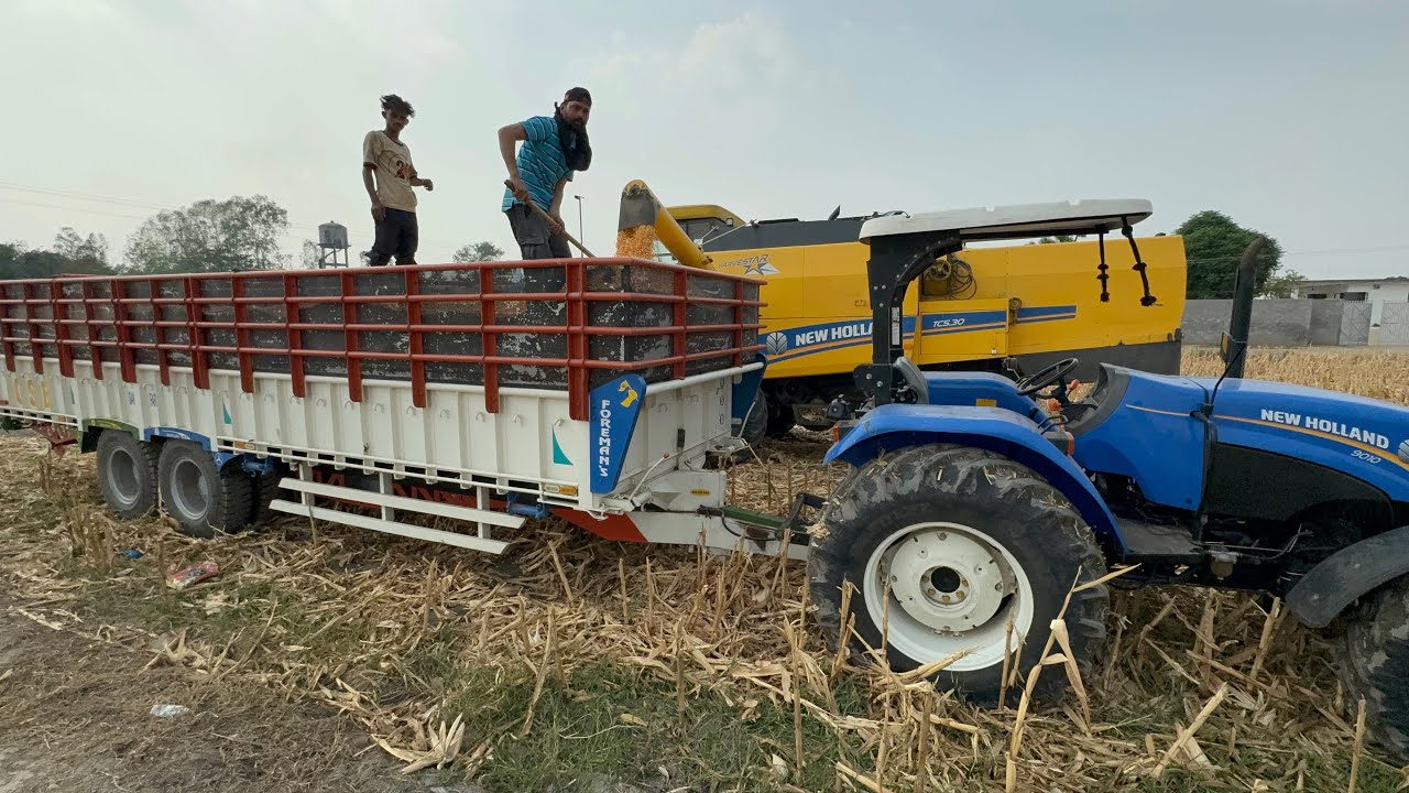 ਅੱਜ ਆਪਣੀ 9108 ਵੱਡੀ ਬਿਲਕੁੱਲ ਸੁੱਕੀ ਸੀ 25% ਗਿੱਲੀ ਸੀ ਸਿਰਫ ਬੋਹਤ ਸੋਹਣੀ quilty ਬਣੀ ਮੱਕੀ ਦੀ ਝਾੜ ਠੀਕ ਸੀ