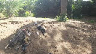 Video for Agricultural farmland for sale in Narok Kenya