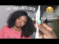 CURLY HAIR LENGTH CHECK + BIG NEWS! | WHY MY HAIR ISNT GROWING