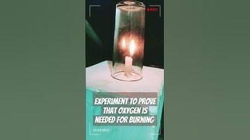 #If Oxygen is not there... #science experiments #class 5 #kerala syllabus #candle #oxygen #gasolina