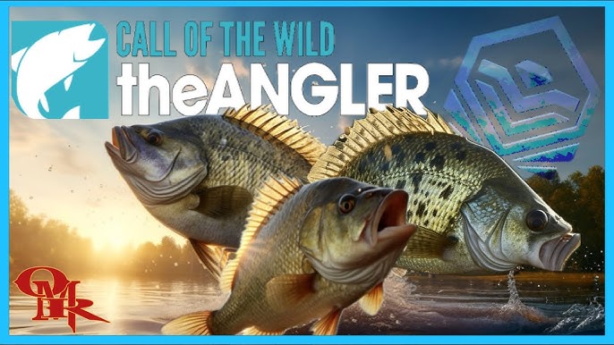 COTWTheAngler on X: Happy 1 Year Anglerversary to us! 🍰 And many