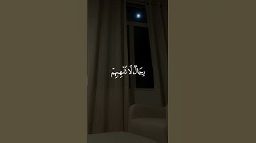 القارئ عمر بن ضياء الدين | سورة النور #عمر_بن_ضياء_الدين #قران_كريم #سورة_النور