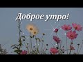 Доброе утро! Какая бы погода ни была, желаю тебе прекрасного дня! 😘🌻💌