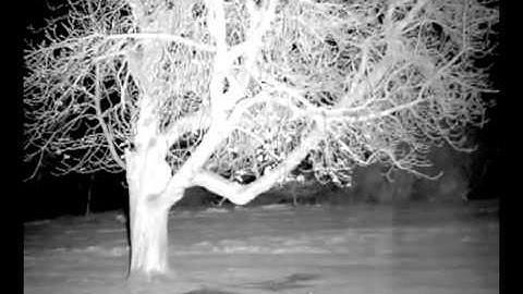 BIP-640C-DN with RM200-AI-10