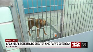 Richmond SPCA helping Petersburg Animal Shelter during parvo outbreak