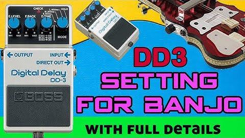 All information about DD3 Echo effect setting, connection, testing, price in banjo.