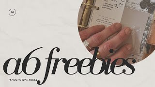 A6 PLANNER SET UP OF FREEBIES! // Moterm apricot planner flip through