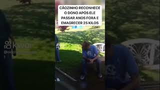 Cãozinho Reconhece O Dono Após Par Anos Fora E Emagrecer 25 Kg Ães