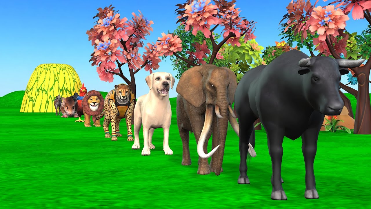 Paint & Animals Cat, Pig, Rabit Buffalo, Lion Fountain Crossing Transformation Animal Cartoon - P1