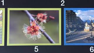 Color Poster 4H photography