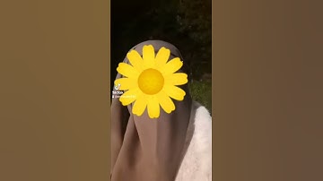 سورة عبس