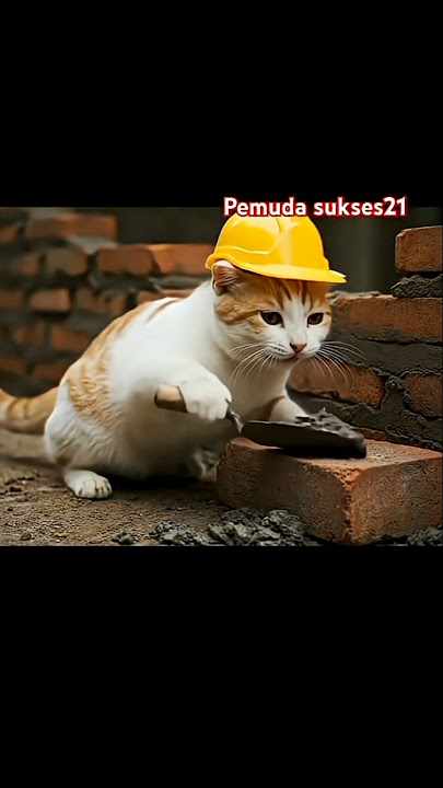Niat Jadi Kuli Bangunan, Malah Jadi Patung Semen 😹