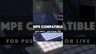 Echo Machine of Detroit - Ableton Edition is here.