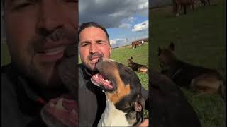 Atacat De Haita De La