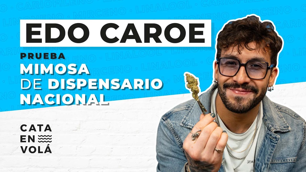 EDO CAROE VUELA EN CATA EN VOLÁ 🃏