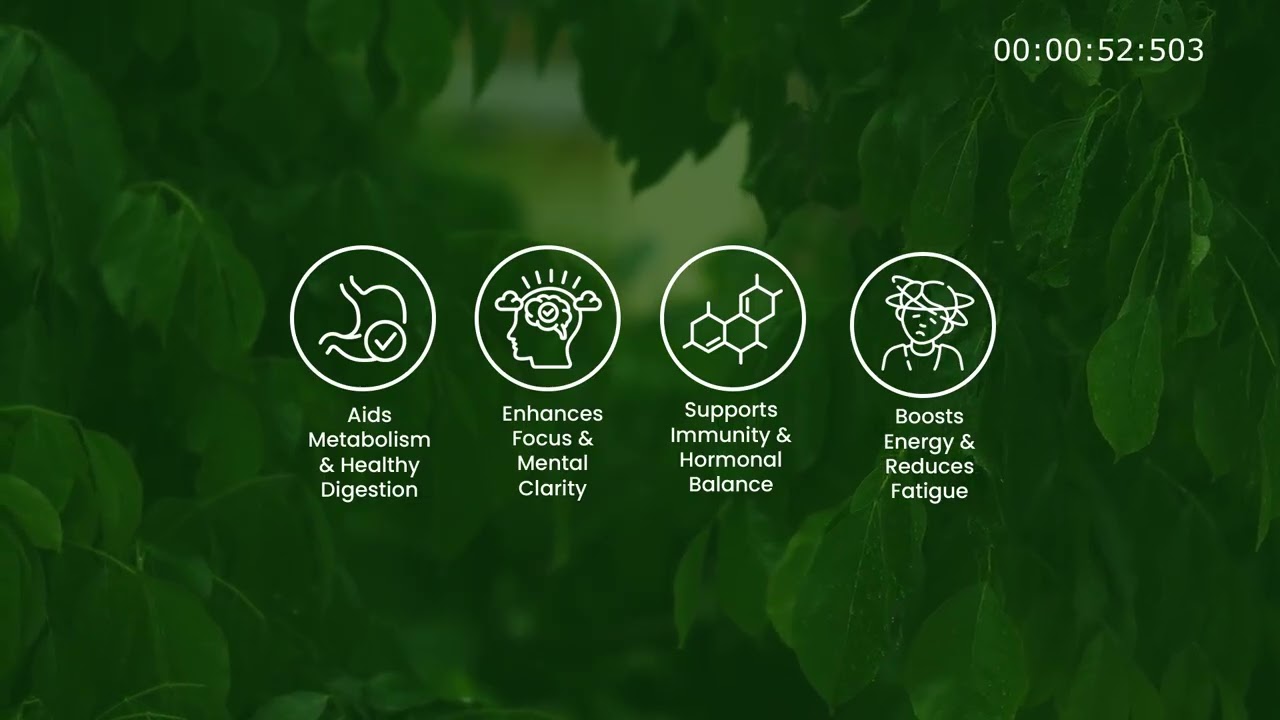 Ginseng Coffee - Avasva - SK Global - Kapra Group