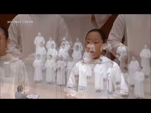 영상썸네일