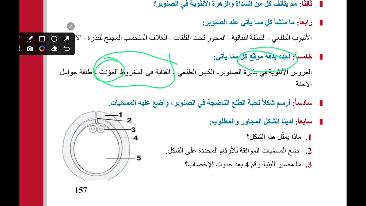 عاريات البذور | التقويم النهائي |