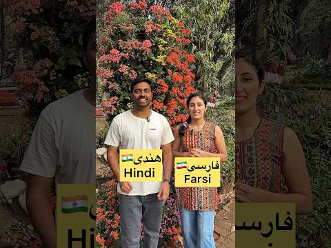 Hindi Vs Farsi Language Similarities India Iran Hindi Farsi Persian Shorts 