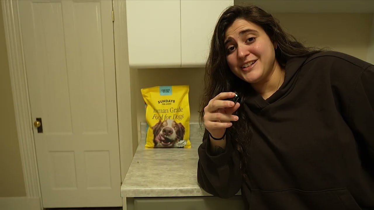 Sundays Gets This High Energy Dog's Nutrition Right