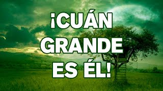 Video thumbnail of "Cuán grande es Él - pista con letra"