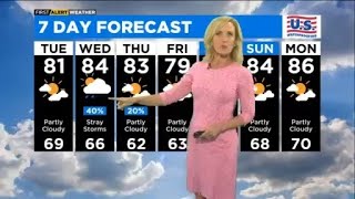 Famous Chicago First Alert Weather: Some clouds Net Worth