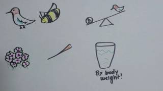 Scaling Laws of Life
