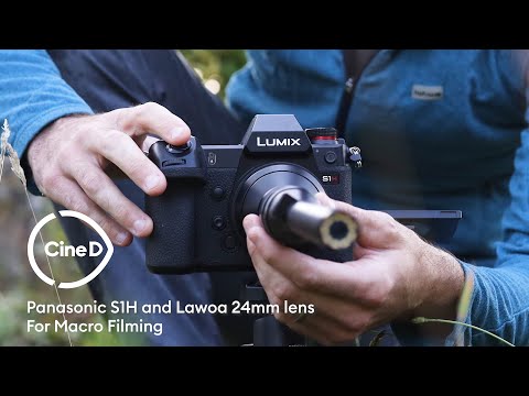 Panasonic LUMIX S1H and Laowa 24mm lens - Good Match for Macro Filming