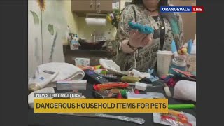 Local vet shares list of most dangerous household items for pets