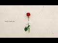tonun - Lonely Lonely day (Lyrics)