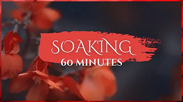 60 MINUTES // SOAKING WORSHIP MUSIC // JULIE MEYER