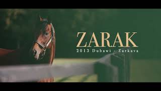 Zarak