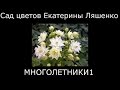 #Многолетники садовые1 #Сад цветов Екатерины Ляшенко