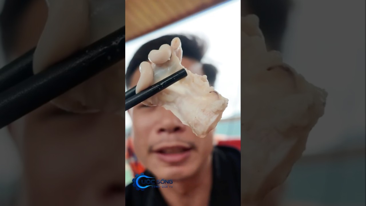 Trễ lợn bản trên thuyền | Xem full 👇#hoabinh #tour #tourism #viarl #family #friend #mukbang #short
