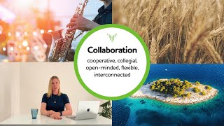 Collaboration Introduction Net Worth