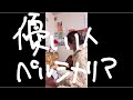 【歌ってみた】優しい人 / ペルシカリア