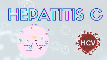 Hepatitis C virus| Replication | Genome | Life cycle #hepatitis #lifecycle #replication #genome