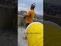 Yellow Saddi Flow Pro Kite Fighting DHKC Kite Patang Kiteflying Patangbazi 