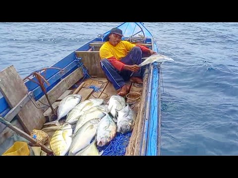 DİKKAT ||  paraketeyi çekmekten bıkana kadar balıklar sırayla yer