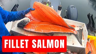 How to Fillet Salmon, Monster Kings, Coho and Pinks! (By Captain Cody )