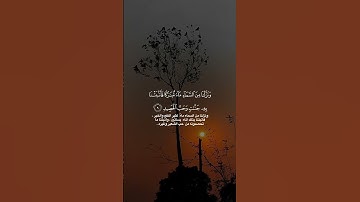 القارئ سعود الفایز #المصحف #لايك #اكسبلور #الرحمن #القزابري #دويتو #تيك_توك #الطحان #duet #الديحاني