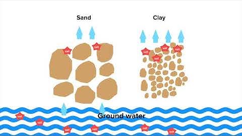 Visual indicators of soil condition Part III: Soil surface and clover roots