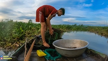 Mùa Nước Nổi Đi Thăm 12 Cửa Ngục Cùng Bảo Nhỏ Và Cái Kết | Đất Phù Sa