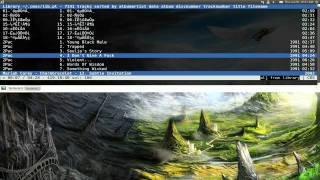 Cmus - Ncurses Music Player - Ubuntu 10.10